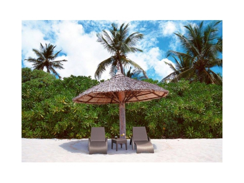 Fiji Sunlounger - Image 11