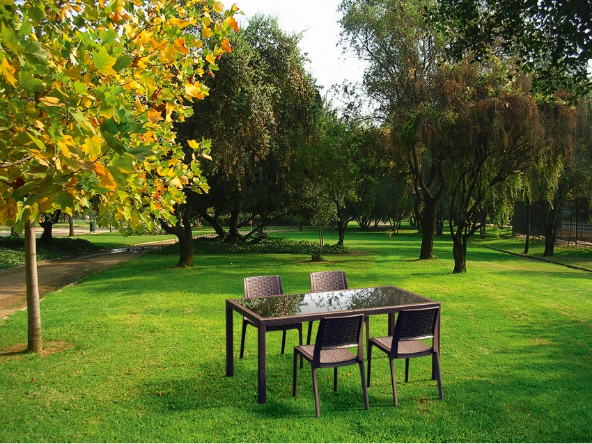 Verona Chair - Image 6