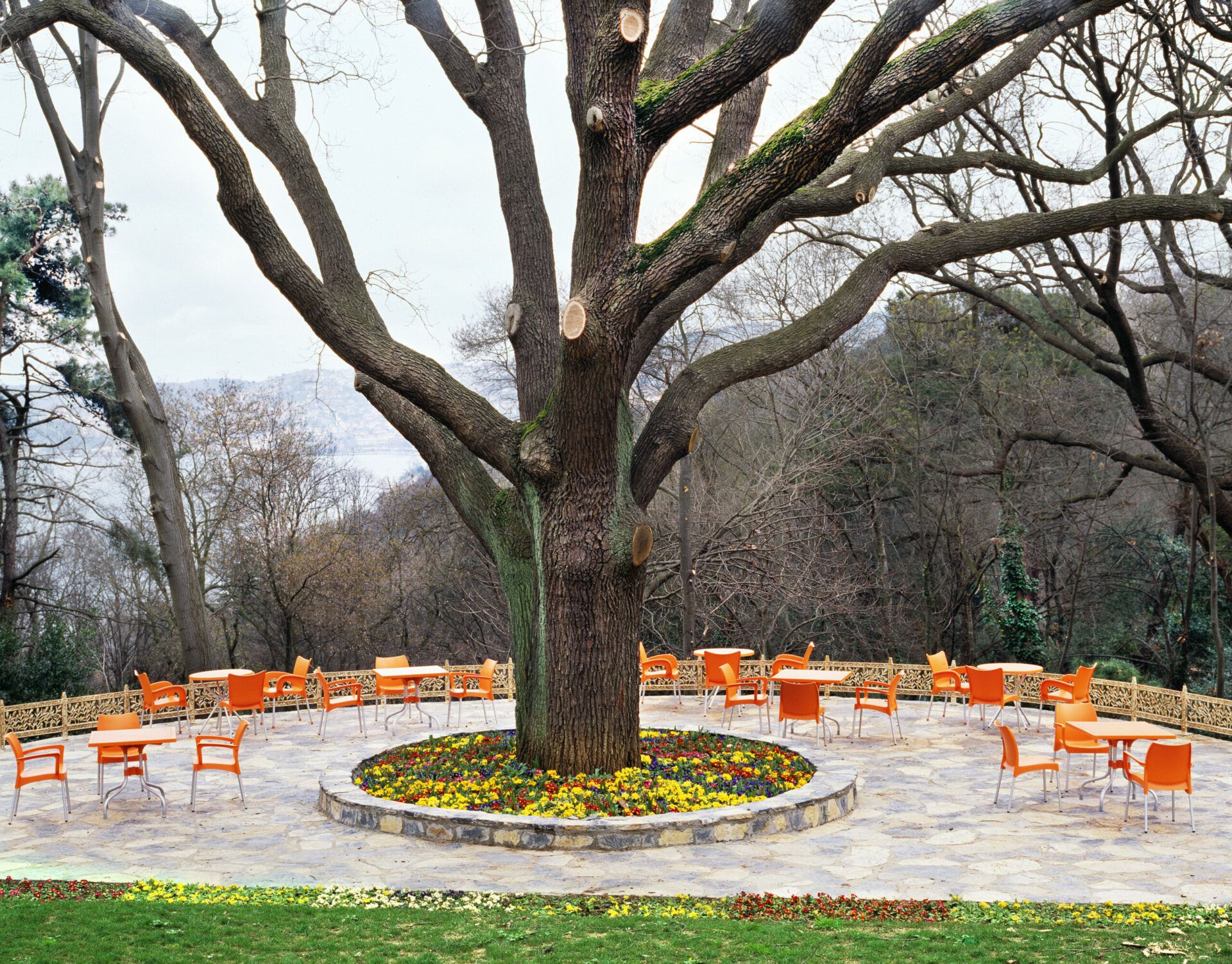 Dolce Armchair - Image 2