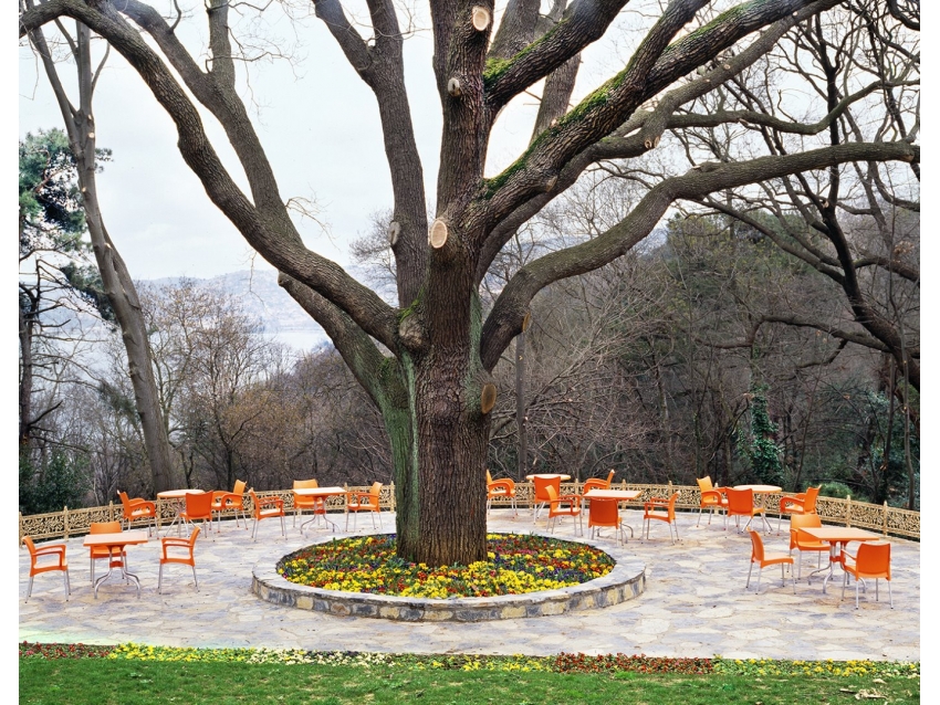 Dolce Armchair - Image 21