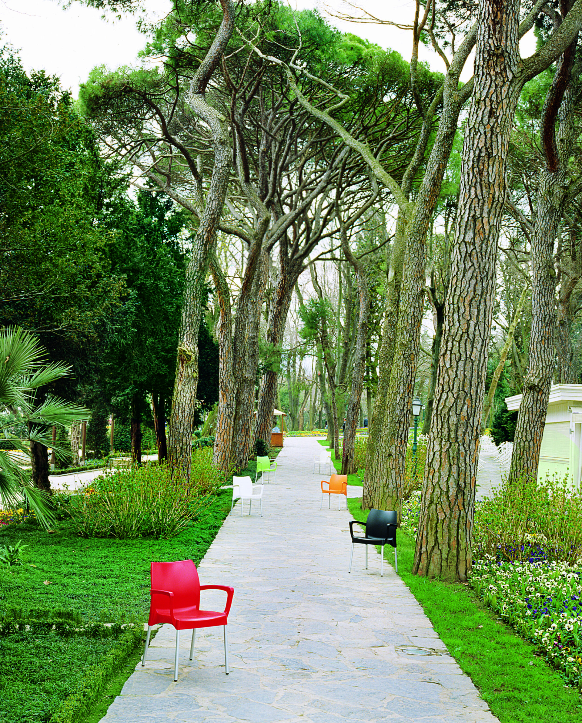 Dolce Armchair - Image 3