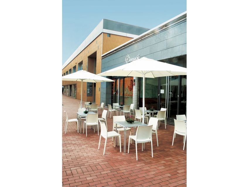 Maya ChairB. - Image 49