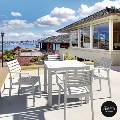 Ares 5 Piece Outdoor Dining Set with Artemis Armchair