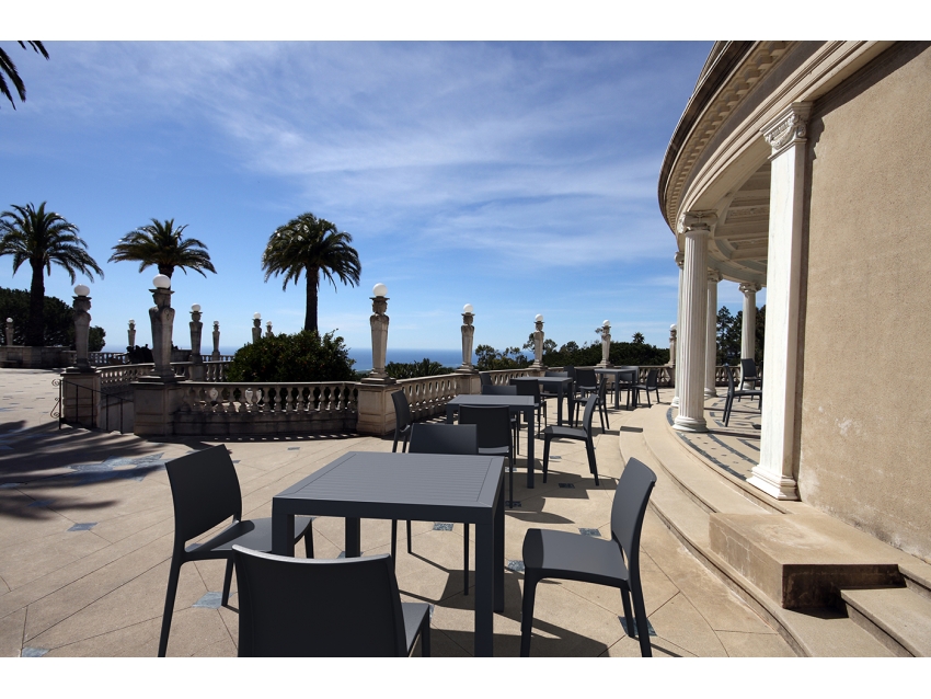 Maya ChairB. - Image 65