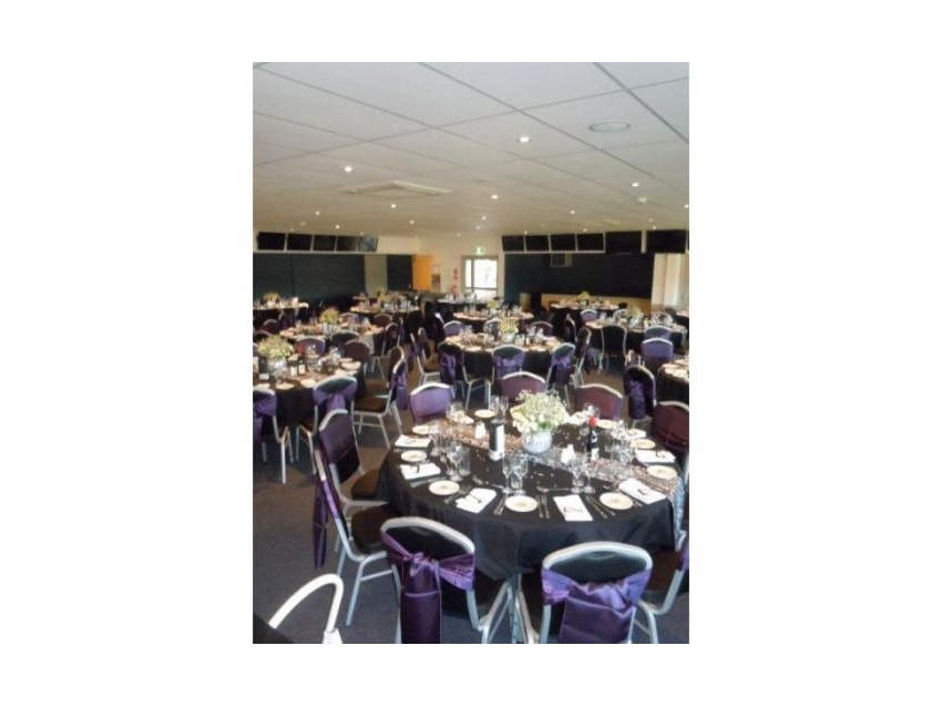 Function Chair - Vinyl - Image 11